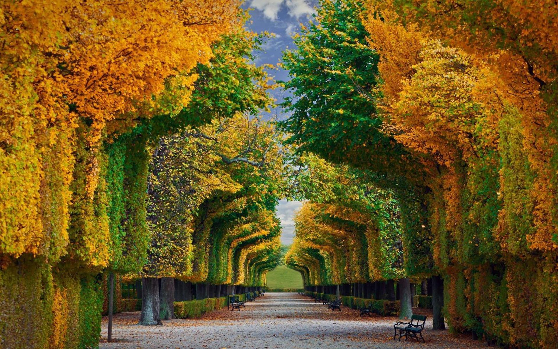 Imperial Schoenbrunn Stays فيينا المظهر الخارجي الصورة
